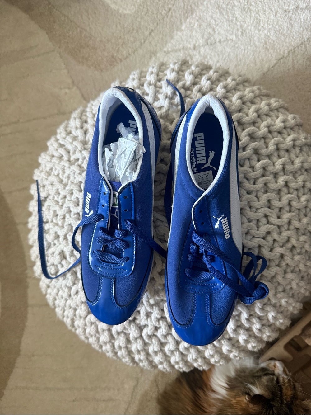 Ladies Puma Royal Blue and White Low-Profile Sneakers. Size 8